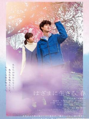明月清辉